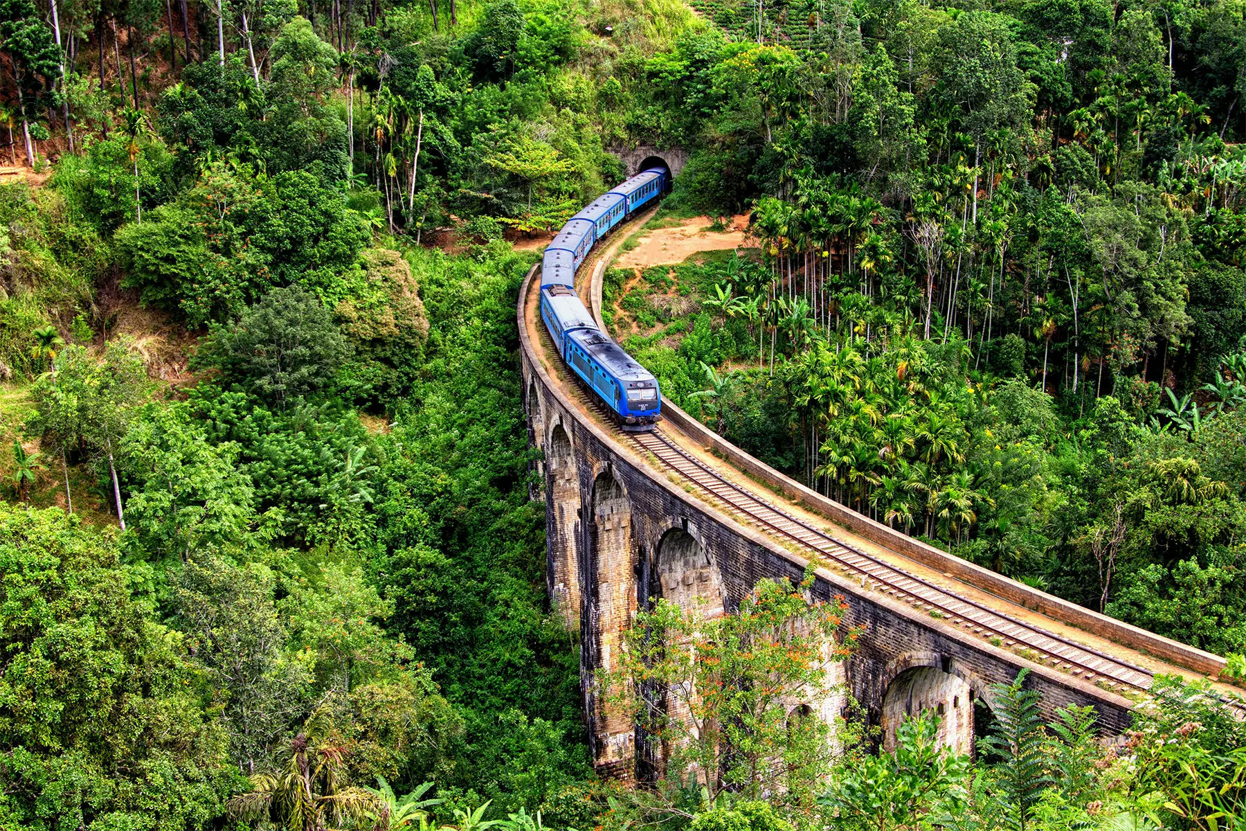 Tea country landscape in Sri Lanka